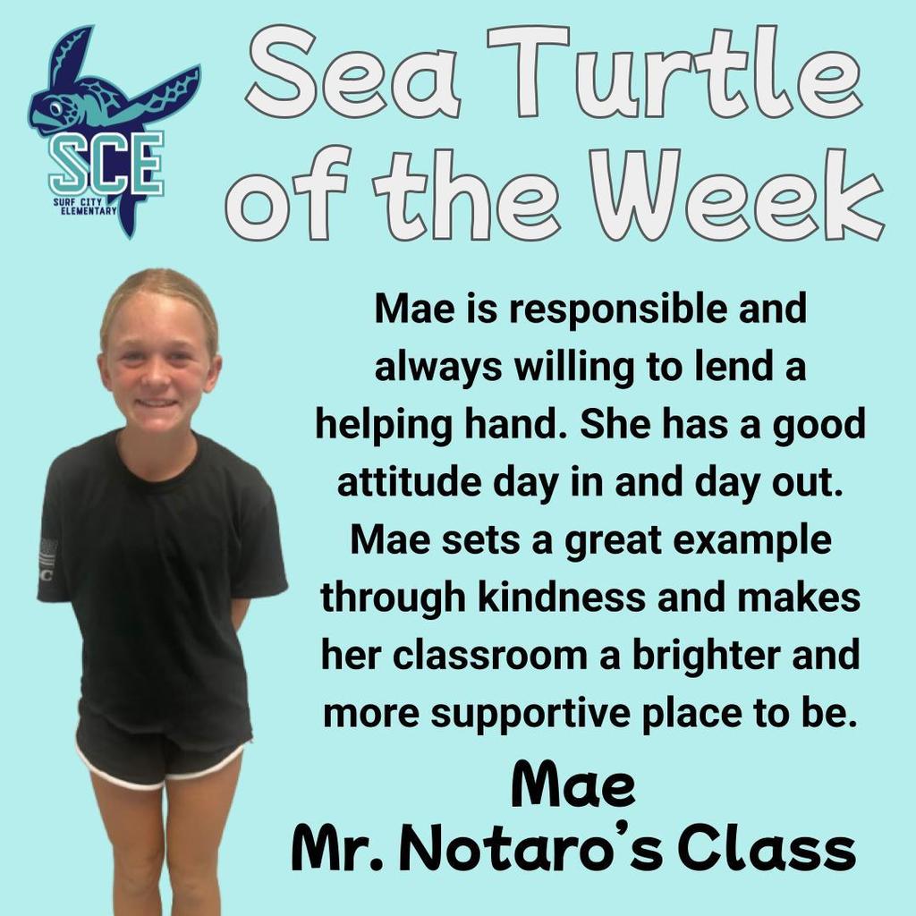 sea turtle of the week announcement