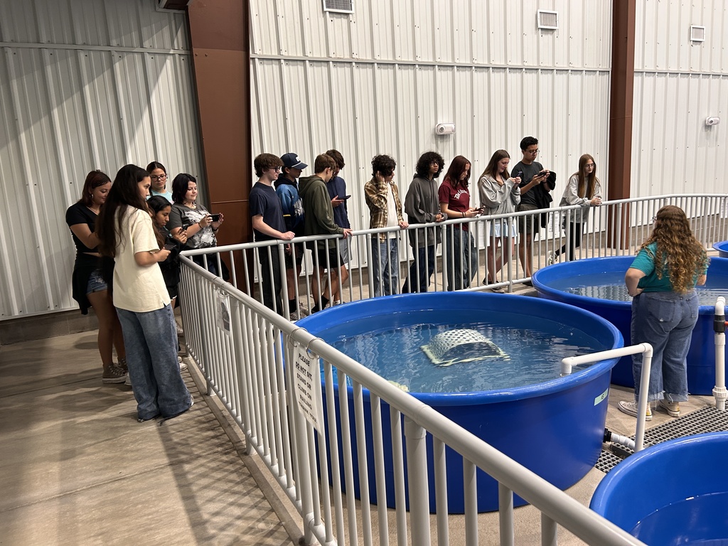 students listening to presenter