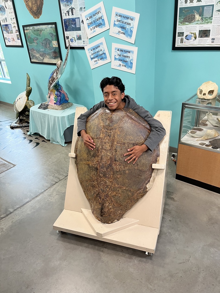 student with carapace