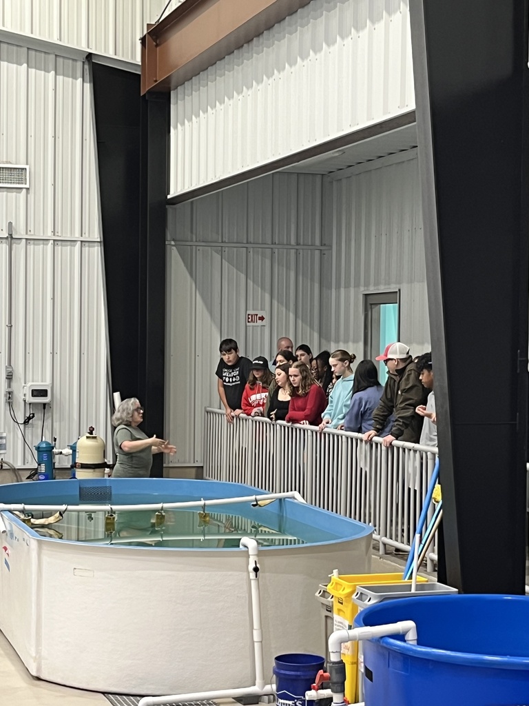 students listening to presenter