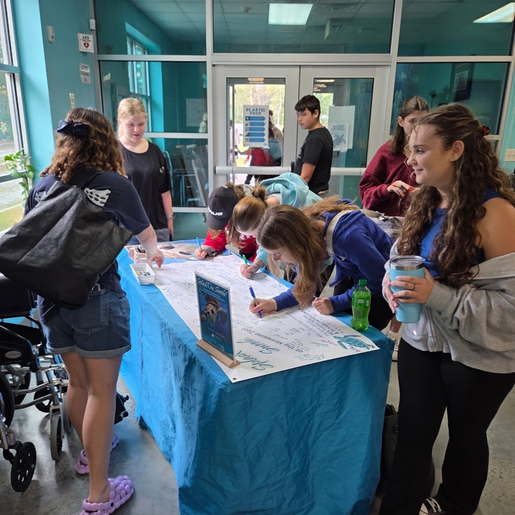 sea turtle hospital visit