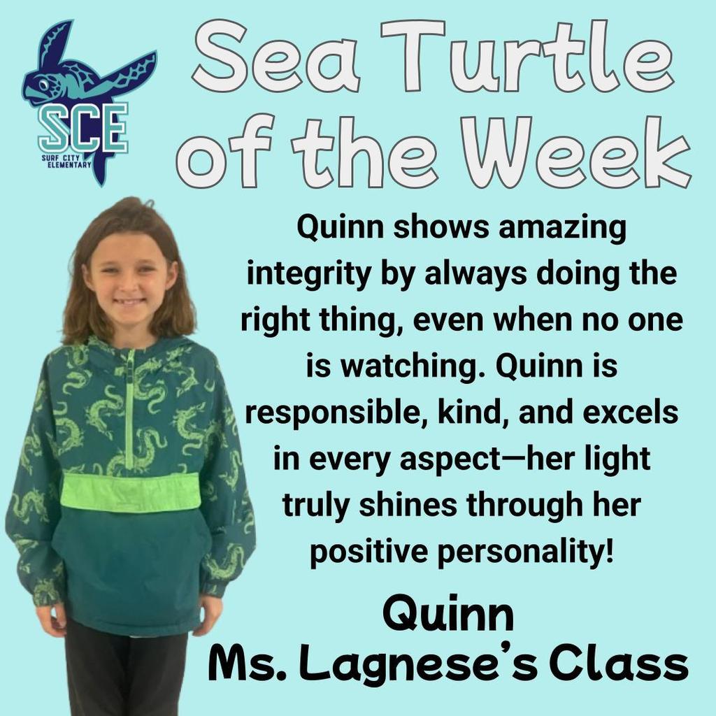 sea turtle of the week announcement