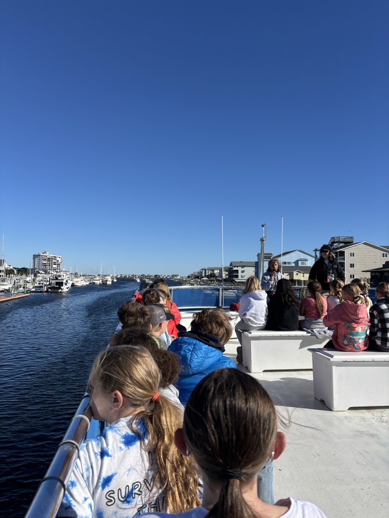 Masonboro Island