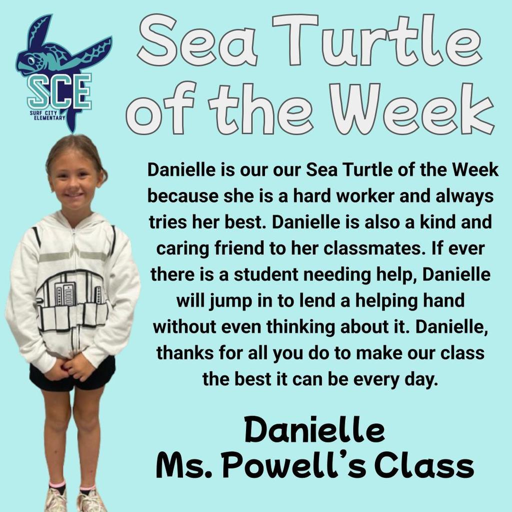 sea turtle of the week announcement