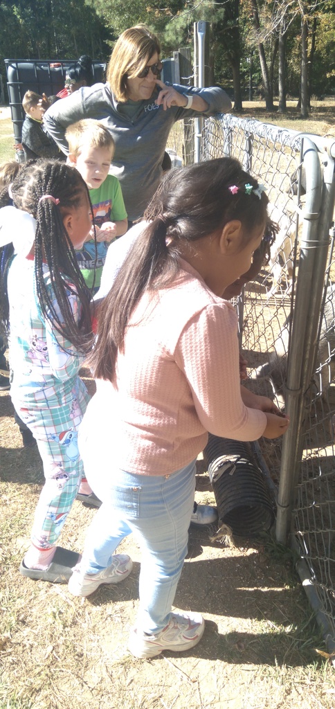 1st Grade Field Trip