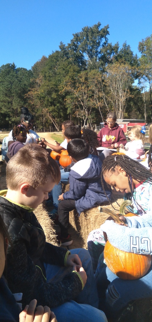 1st Grade Field Trip