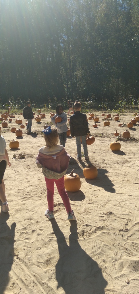 1st Grade Field Trip