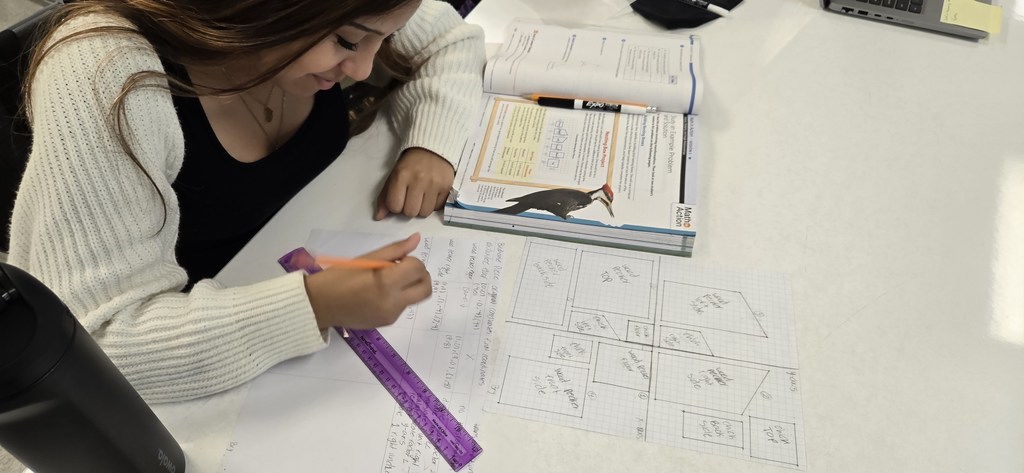 Hands on learning in 8th grade math