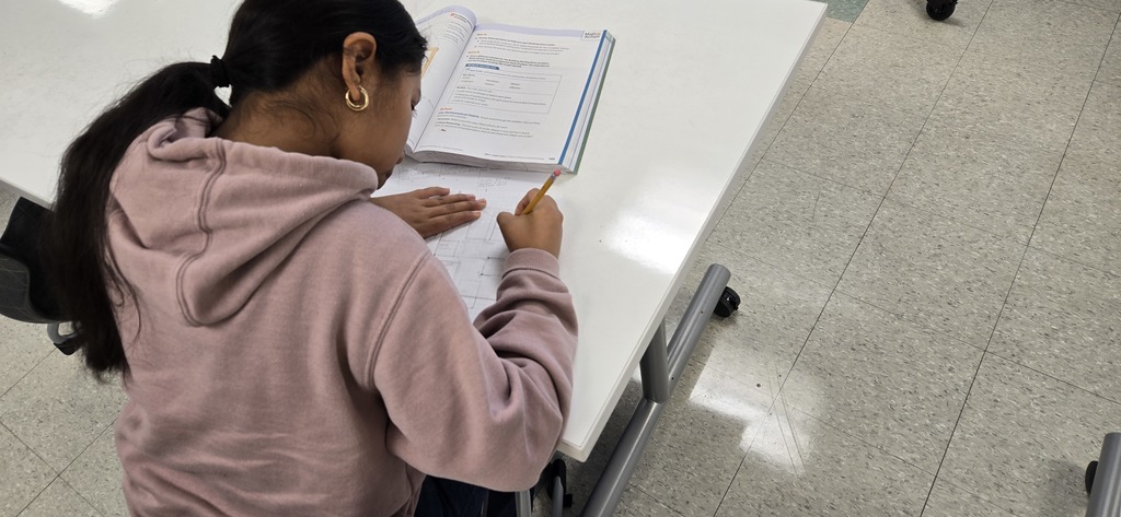 Hands on learning in 8th grade math