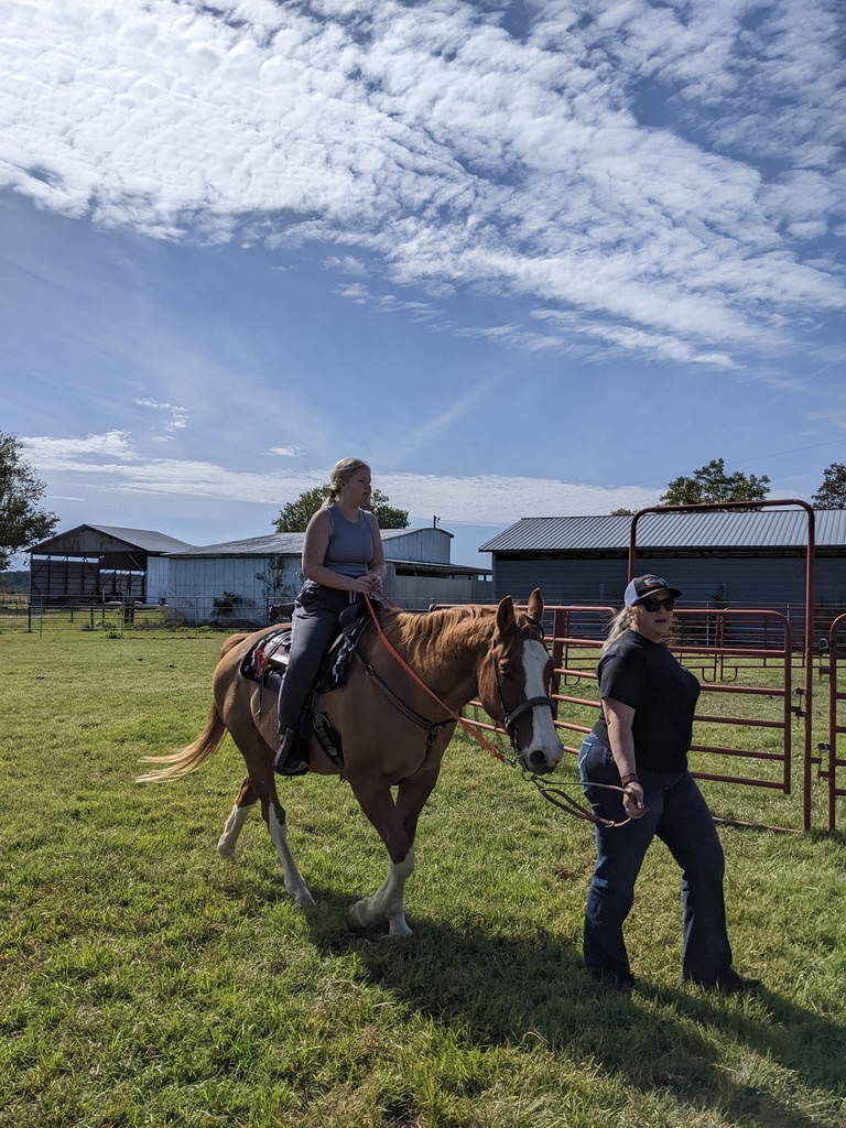 PECHS Students at  Horton's Rehab Ranch