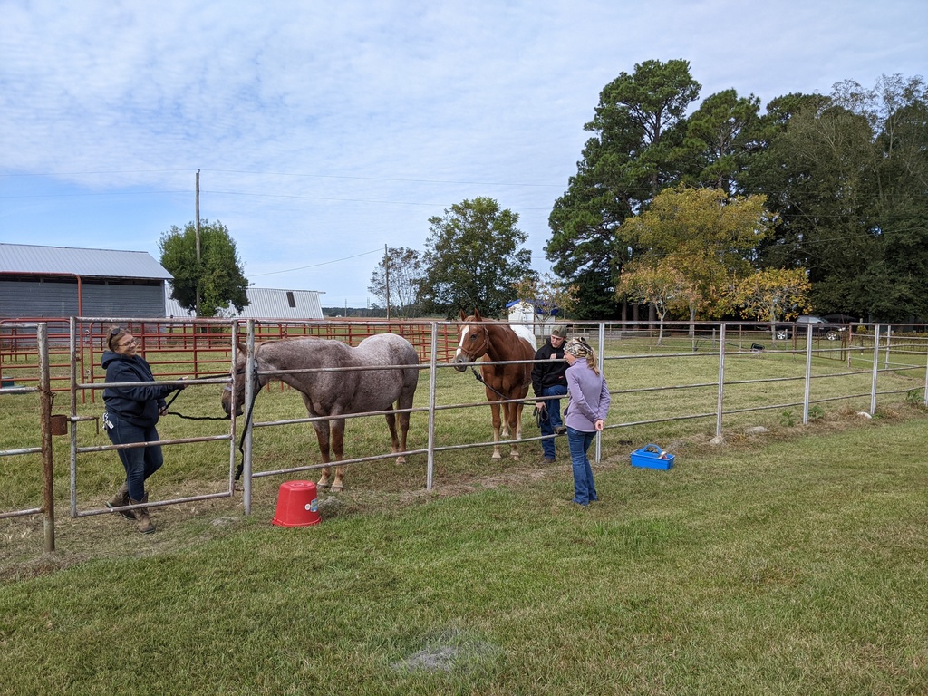 PECHS Students at  Horton's Rehab Ranch