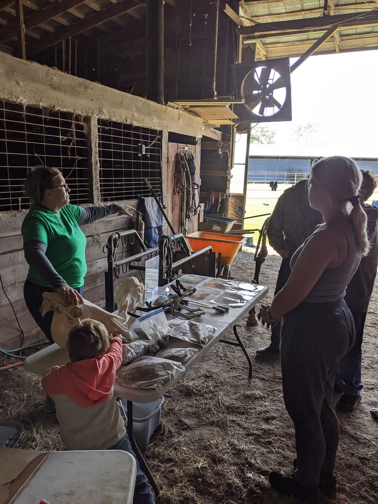 PECHS Students at  Horton's Rehab Ranch