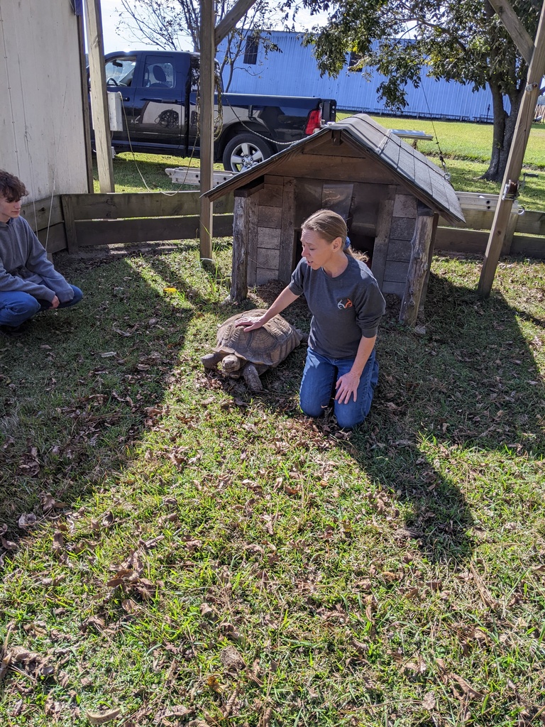 PECHS Students at  Horton's Rehab Ranch
