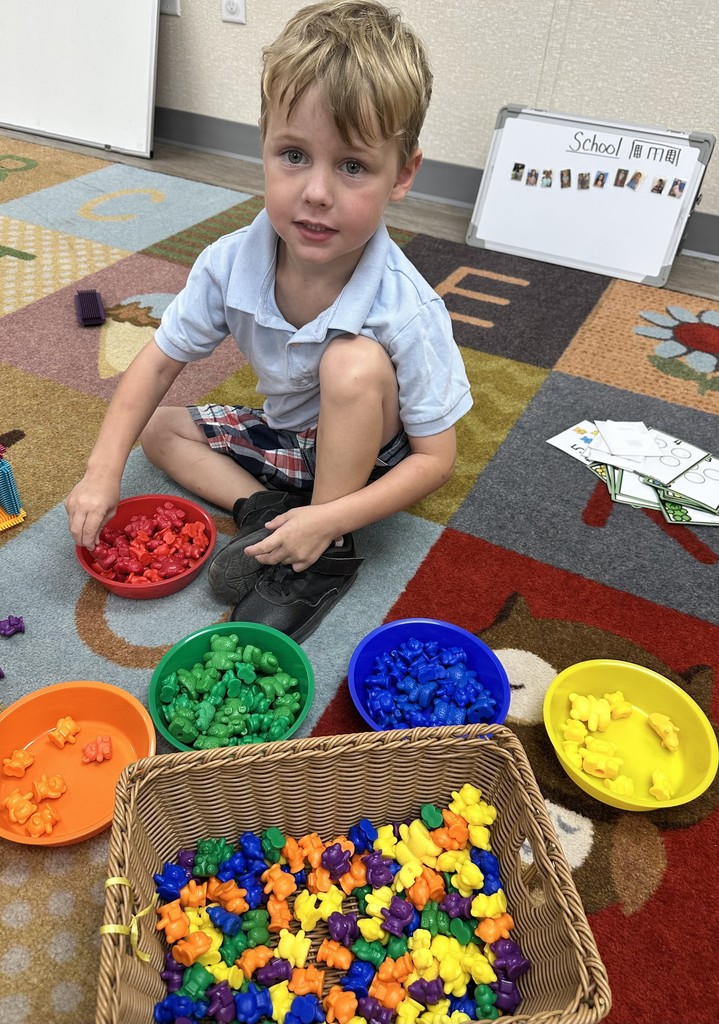 sorting color bears