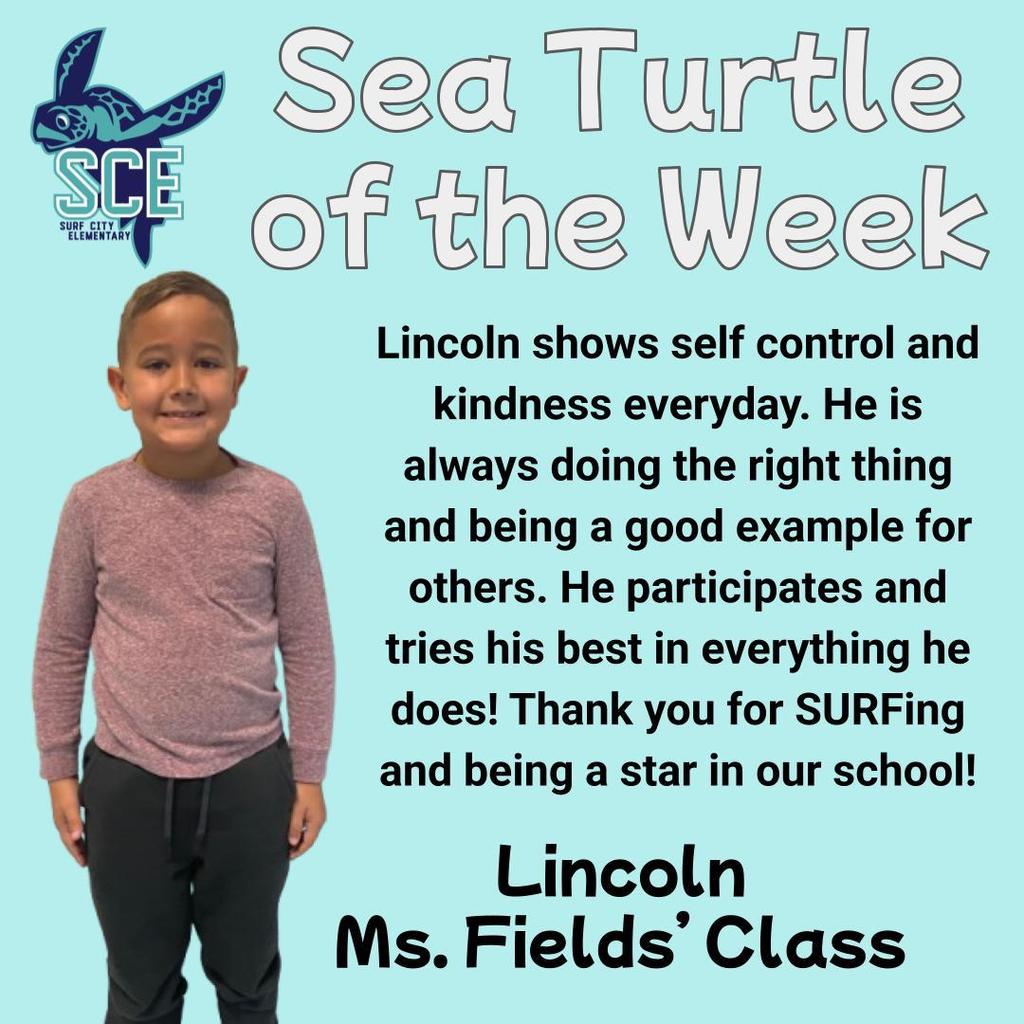sea turtle of the week announcement
