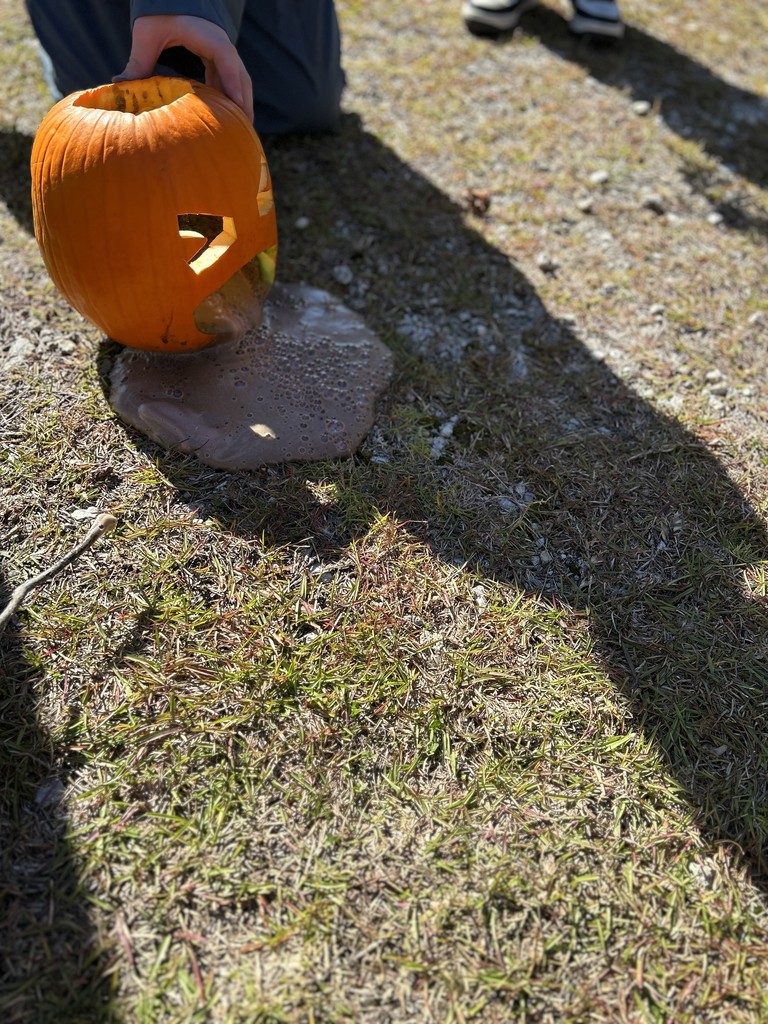 8th grade students conduct science experiments