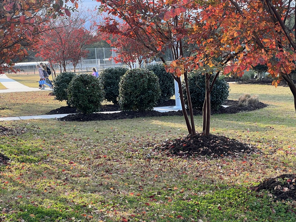 Thank you Renovations Church!