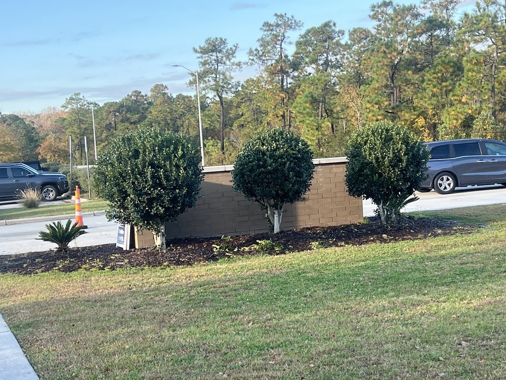 Thank you Renovations Church!