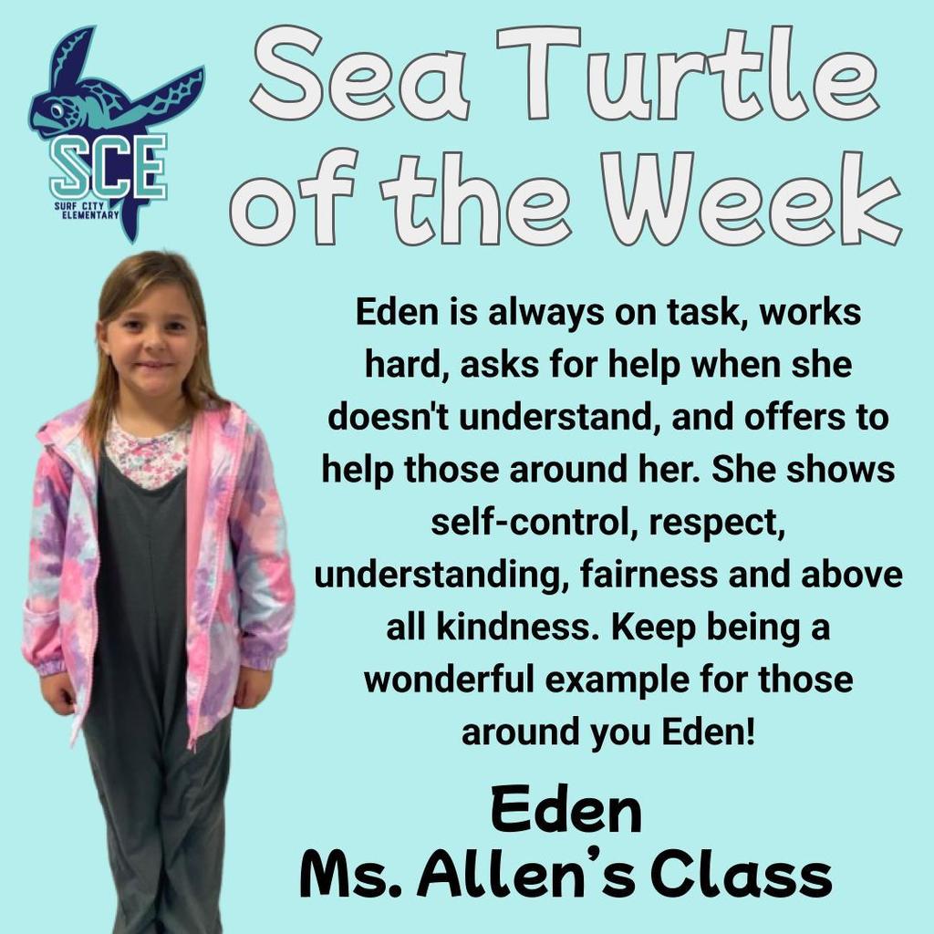 sea turtle of the week announcement