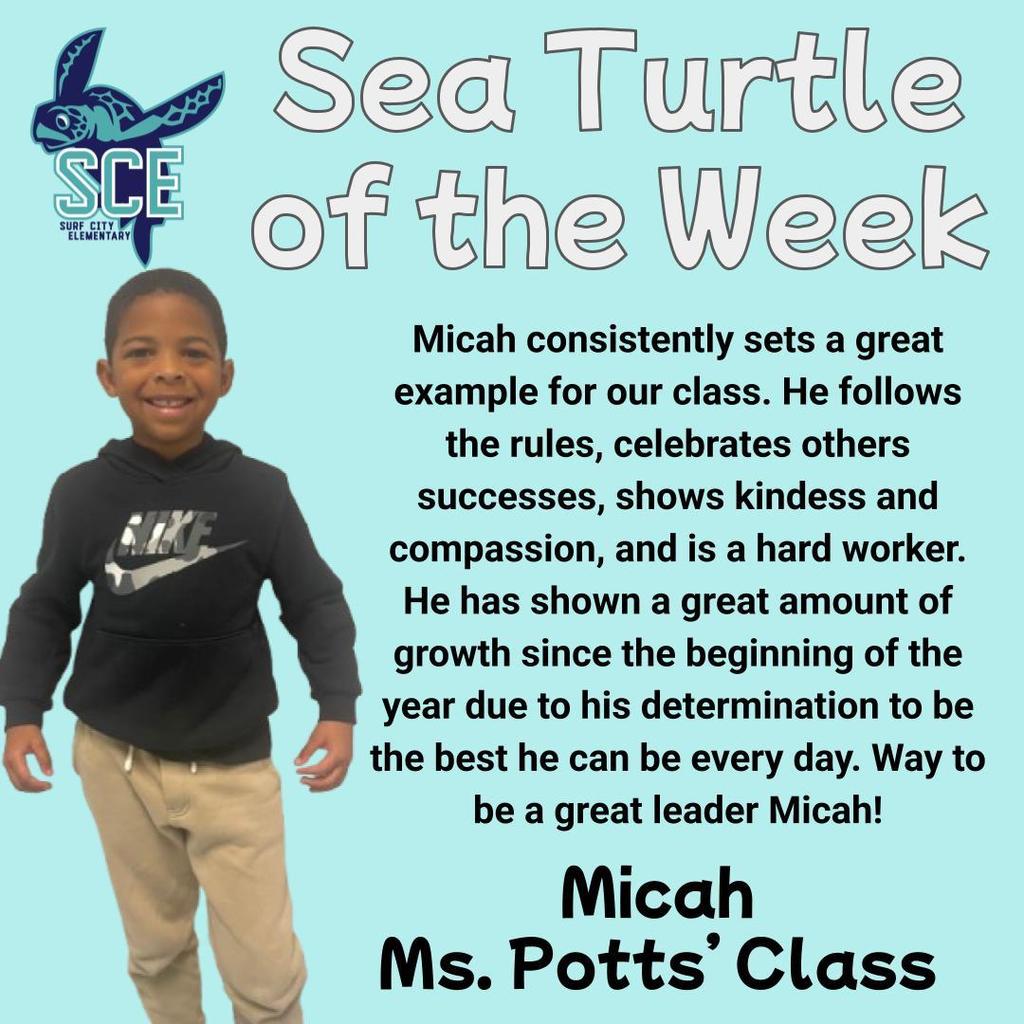 sea turtle of the week announcement