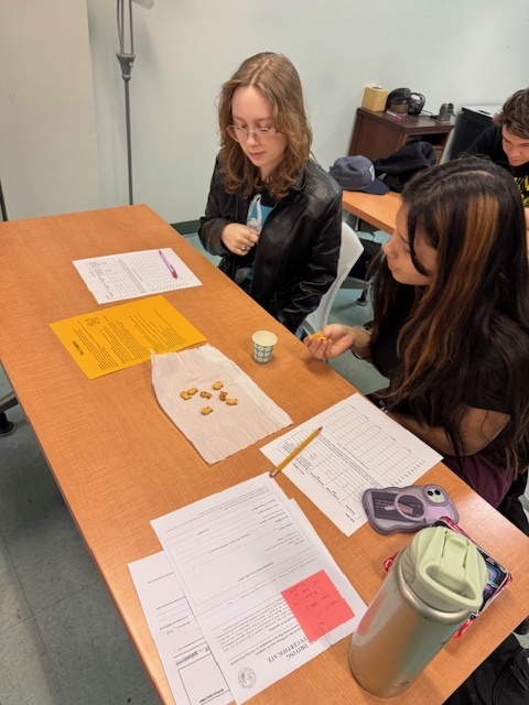 students working on lab