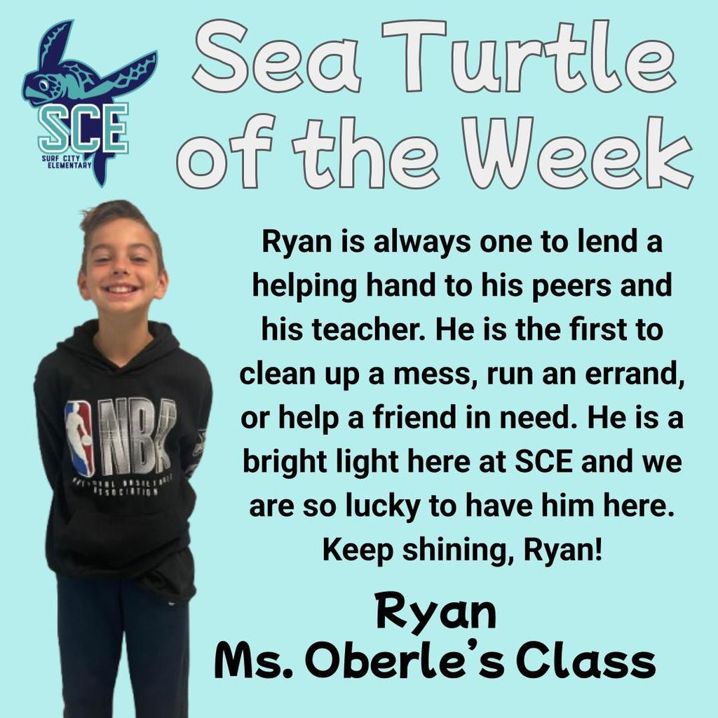 sea turtle of the week announcement