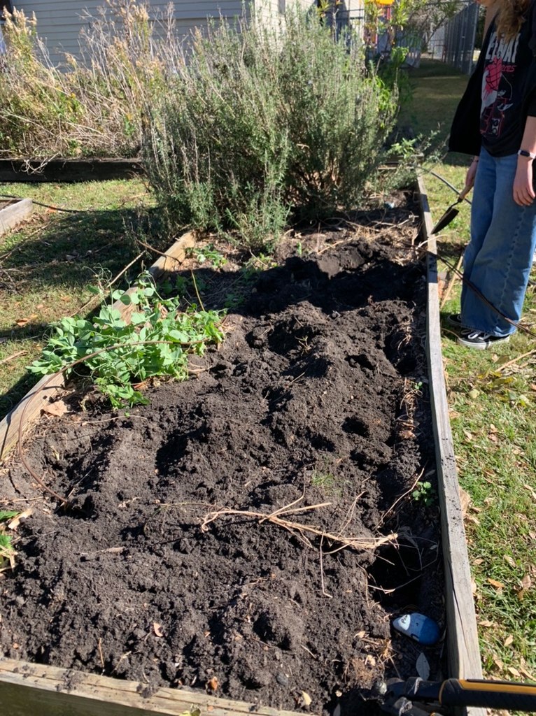 garden bed with holes in the dirt