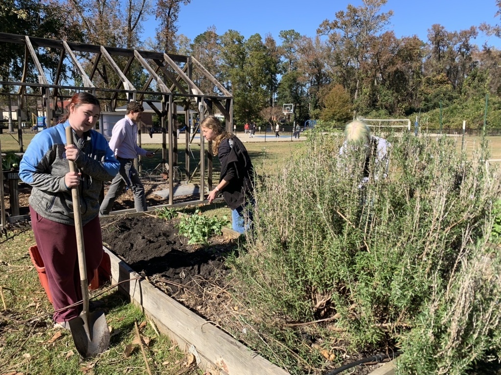 Garden Club students harvesting Jerusalem artichokes