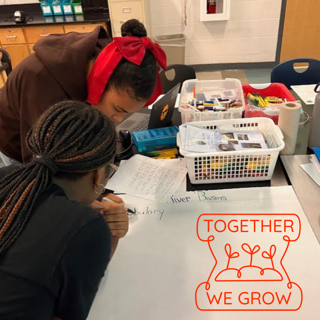 students working in groups in science class