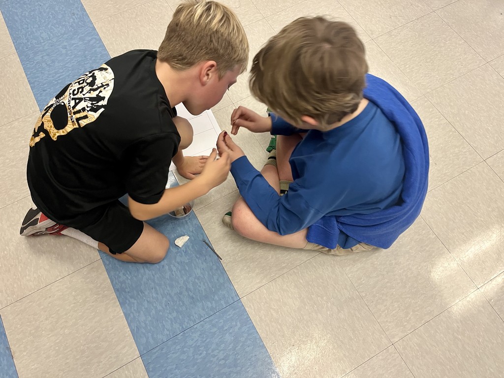 2nd grade students working in groups on a science activity 