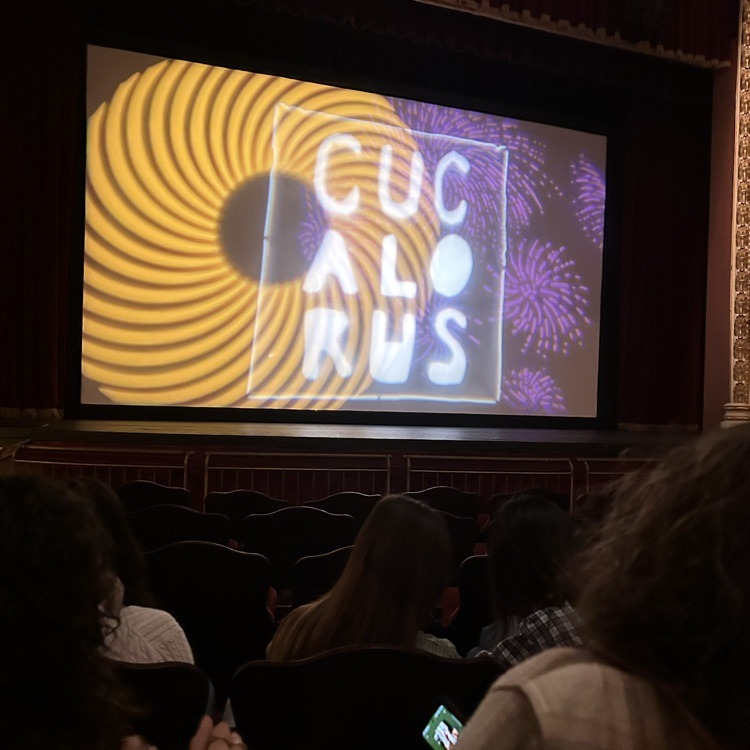 cucalorus film festival