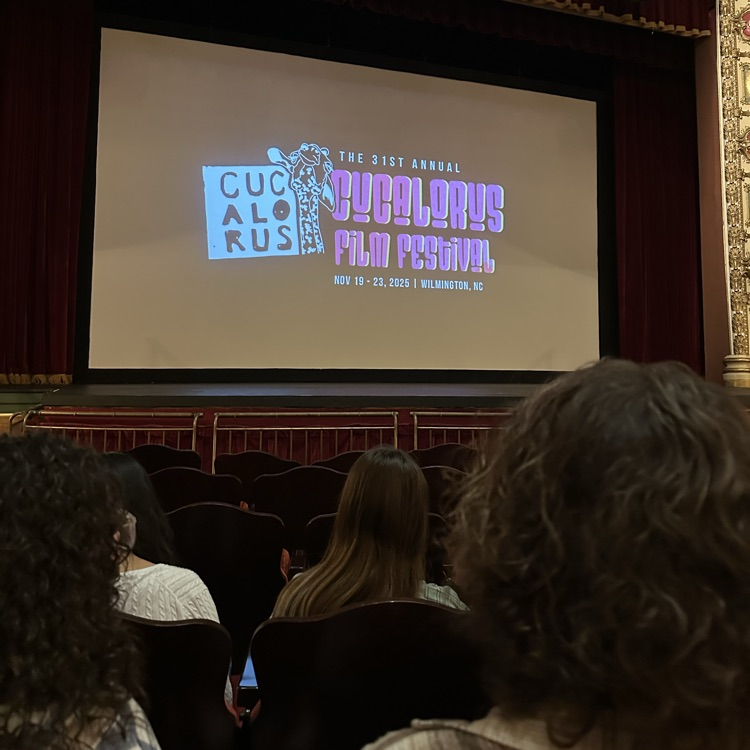 cucalorus film festival