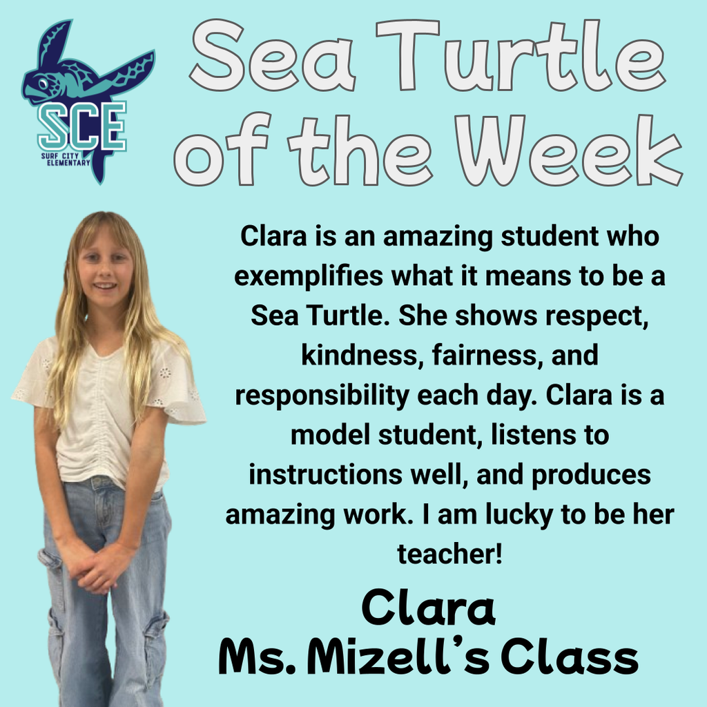 sea turtle of the week announcement