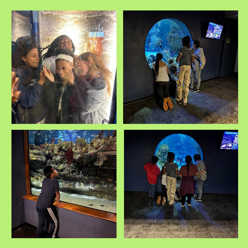 students visitin exhibits at aquarium