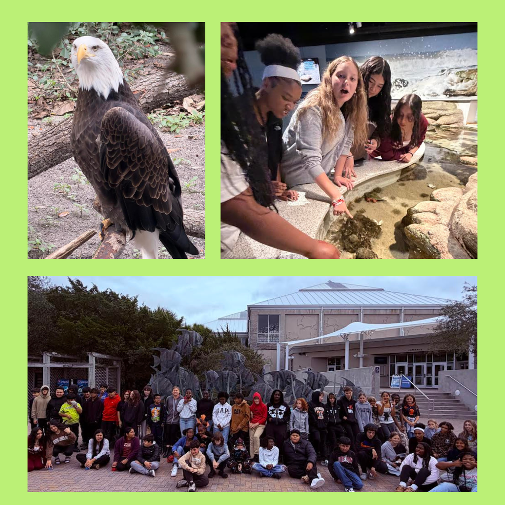 students visitin exhibits at aquarium