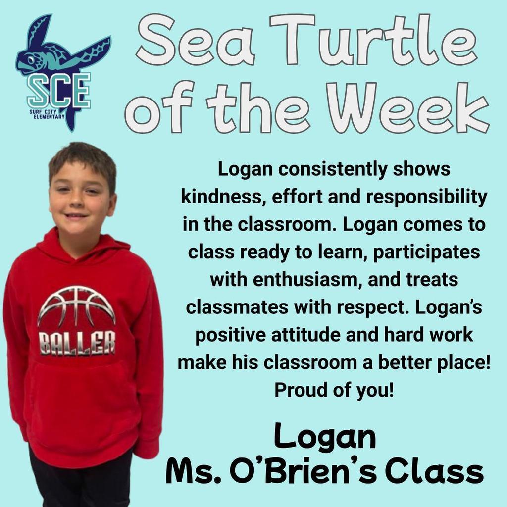 sea turtle of the week announcement