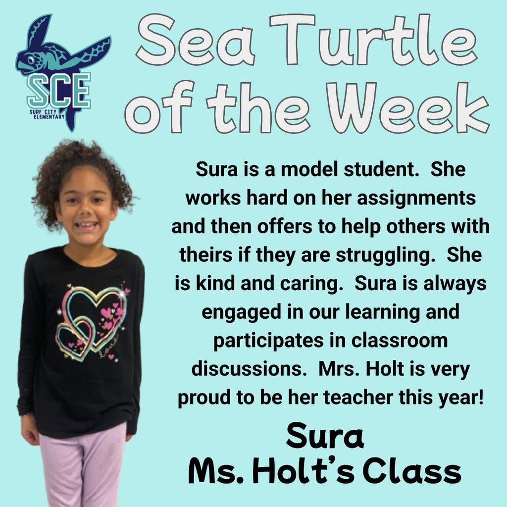sea turtle of the week announcement