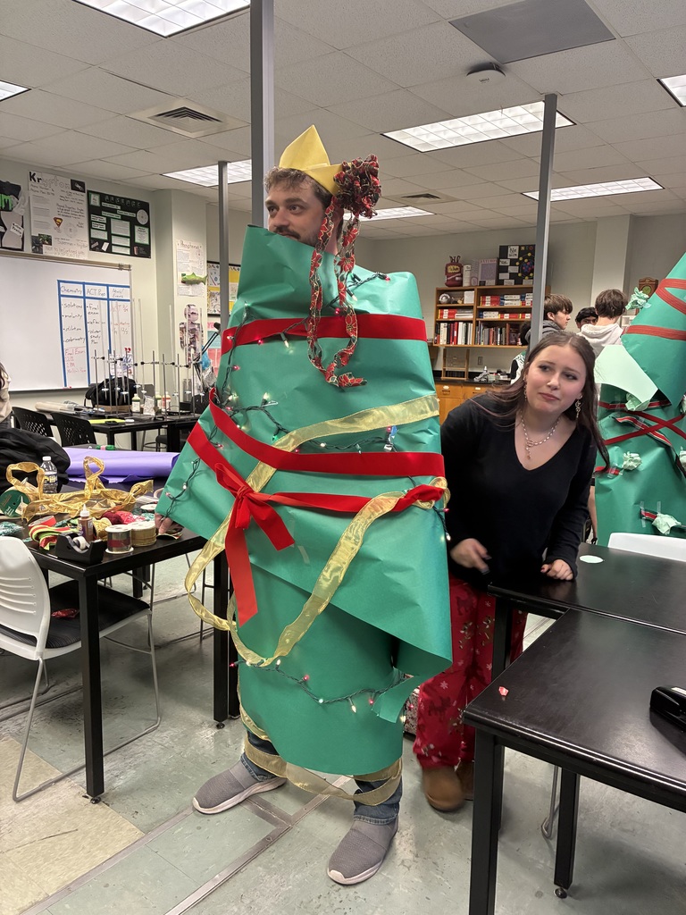 PECHS' houses decorated human Christmas trees!