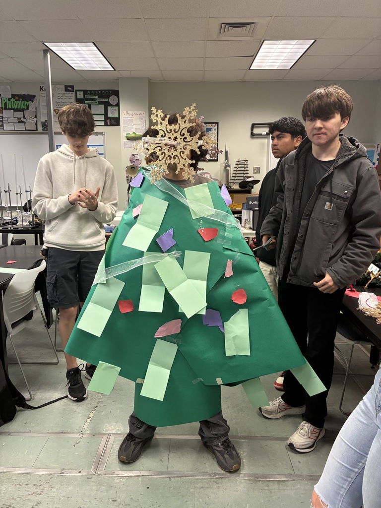 PECHS houses decorated human trees last friday!
