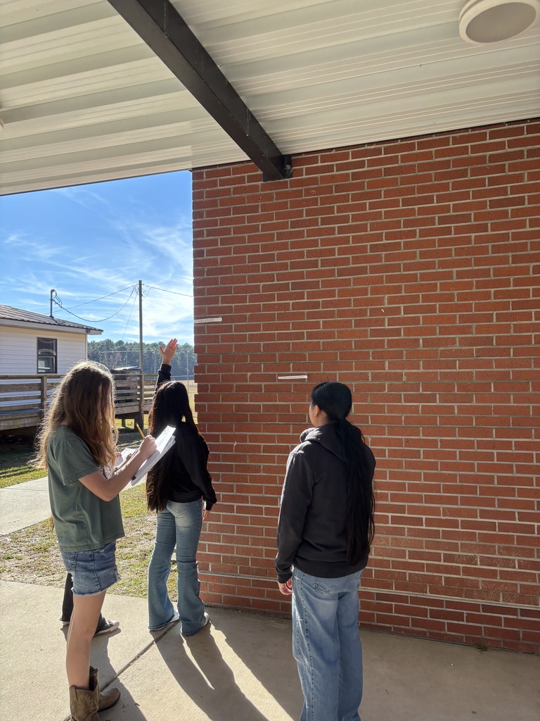 Amazing Race: Science Edition