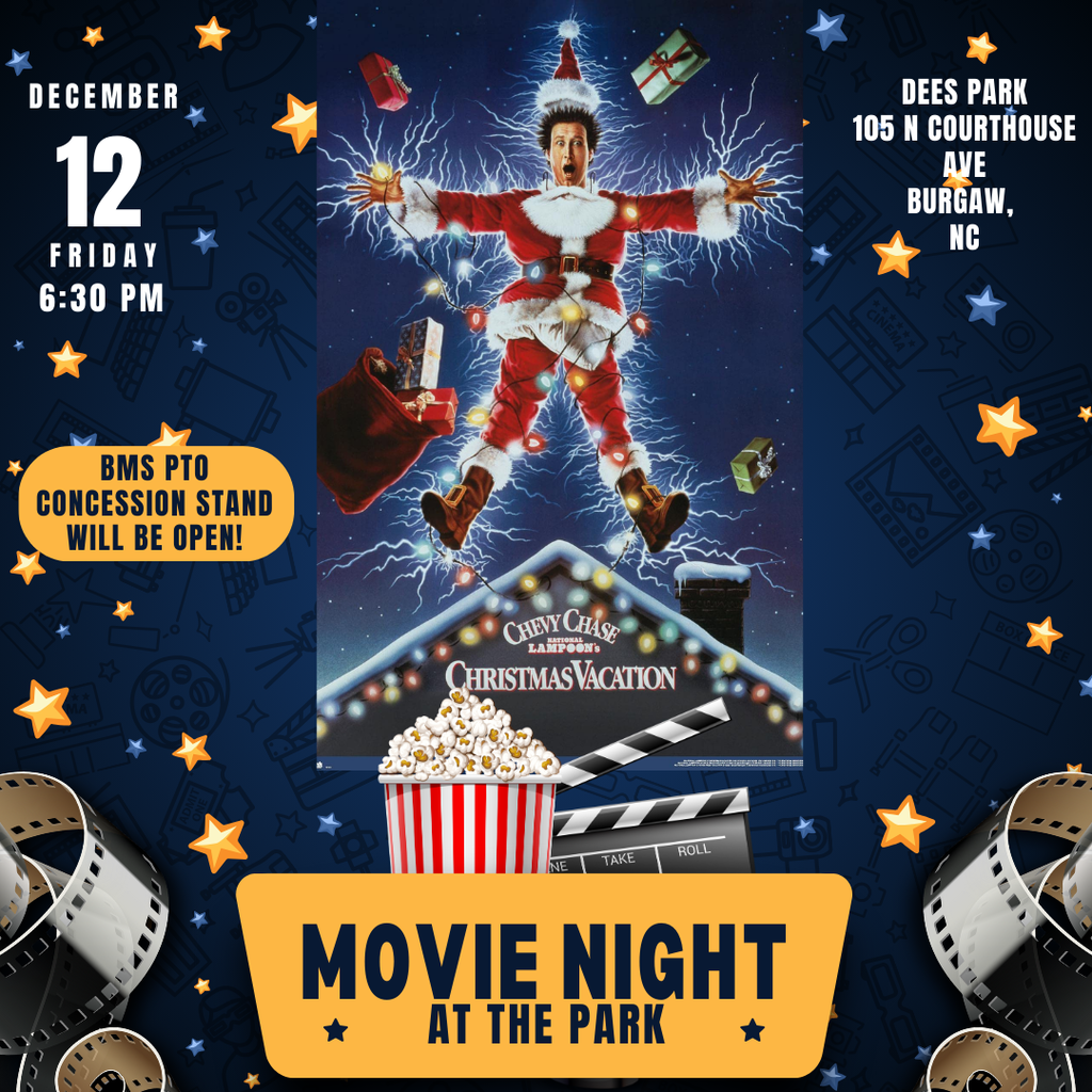movie night at the park flyer