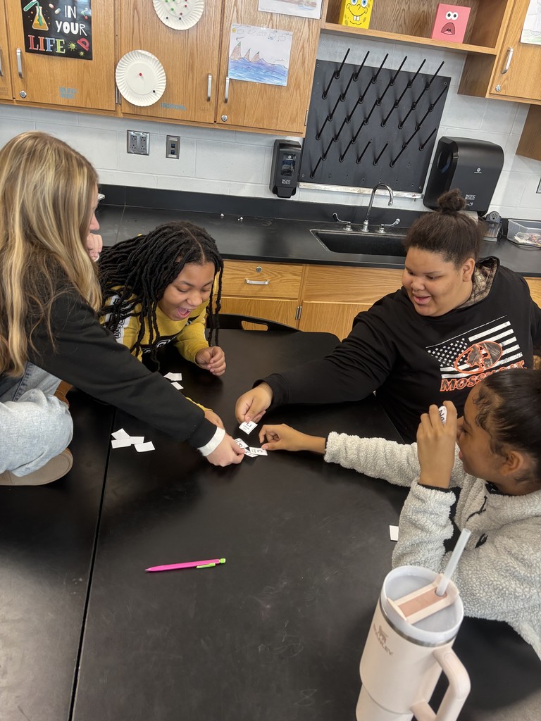 Learning fun in 8th grade science