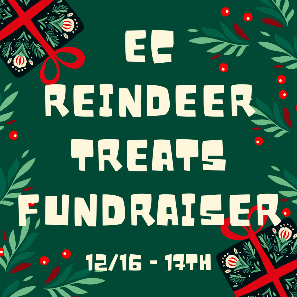 reindeer fundraiser treat sale flyer