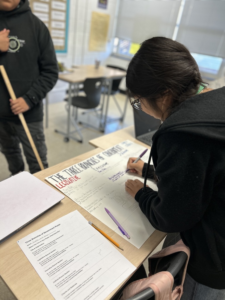 Students are creating diagrams of our government’s framework as defined by the Constitution