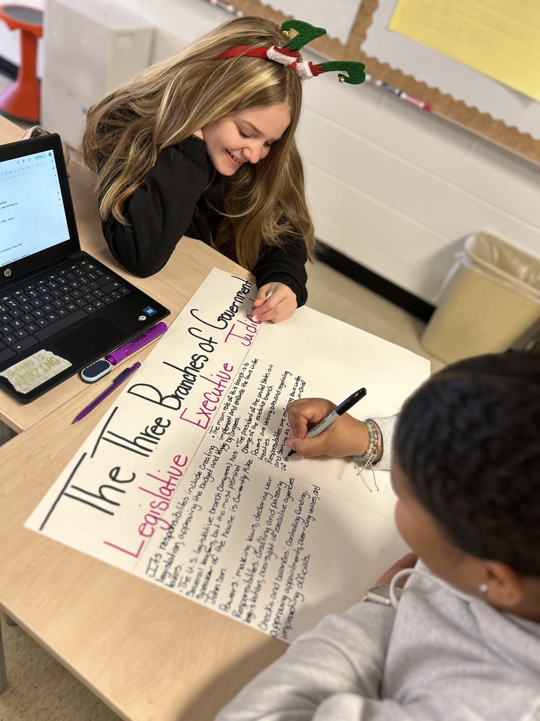 Students are creating diagrams of our government’s framework as defined by the Constitution