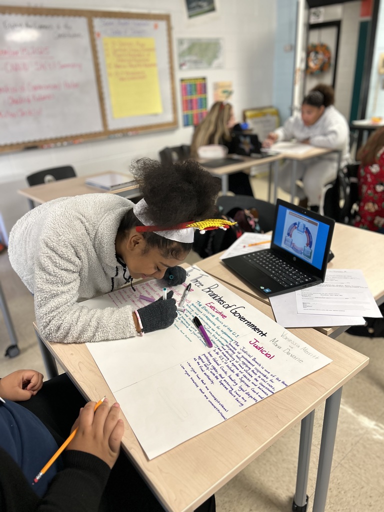 Students are creating diagrams of our government’s framework as defined by the Constitution