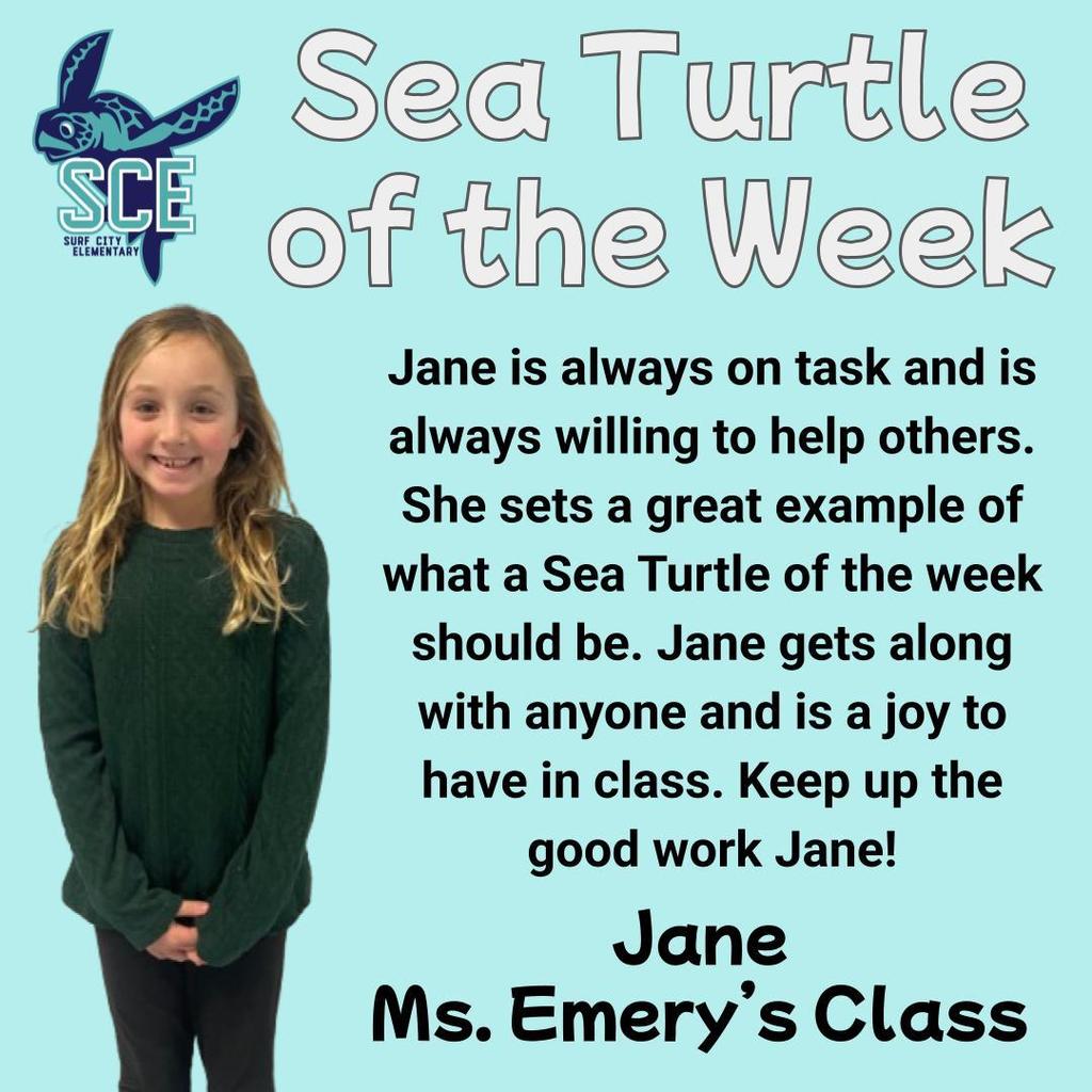 sea turtle of the week announcement