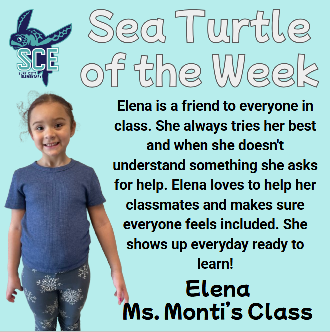sea turtle of the week announcement