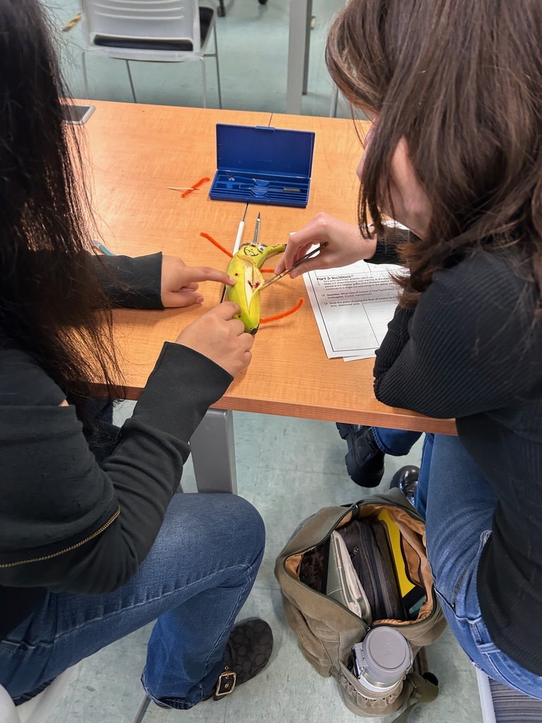 student analyzes wounds