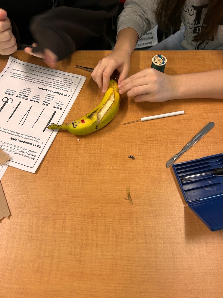 student sews up banana